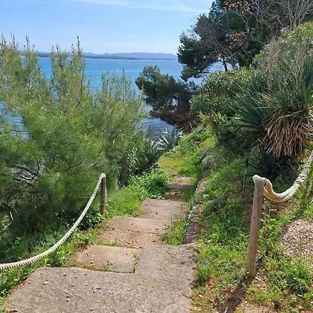 Apartman In - Insel Pasman 53913 *